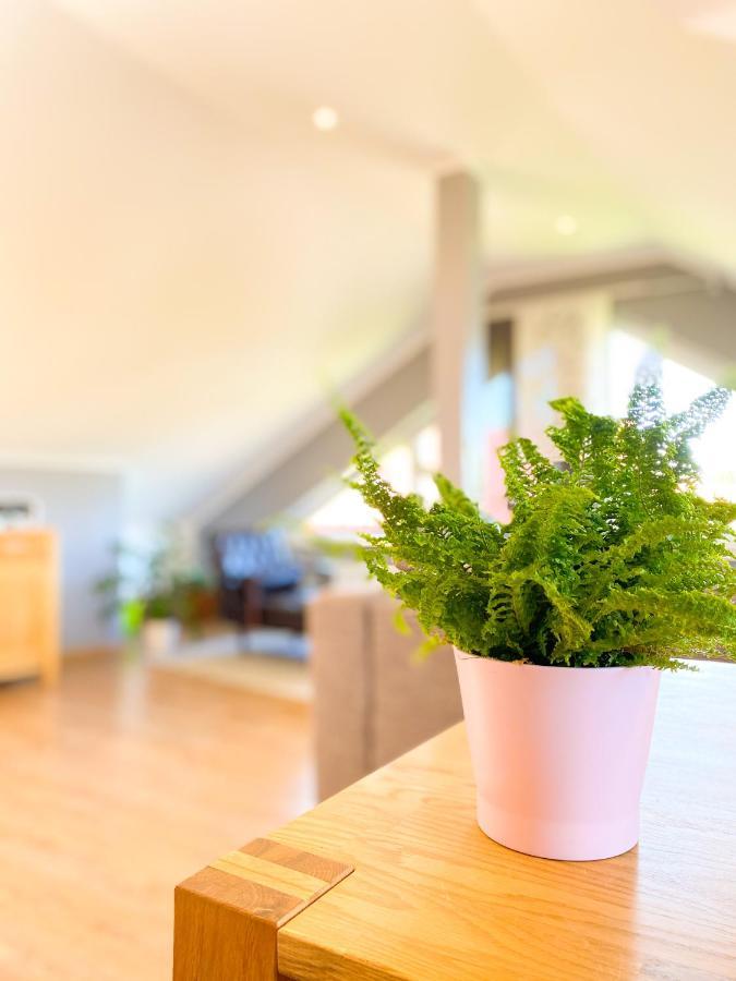 Fewo Sulzer Siedlung Erfurt Apartment Exterior foto